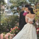 로이드밤 당감점 | 본식 전 머리색 변화 🎉(with. 로이드밤)
