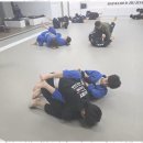 화랑합기도&부여주짓수 이미지