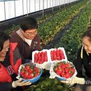 문암농장 이미지