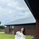 [제주도] 포도호텔 내돈내산 디럭스 양실 트윈룸 후기(서이추 환영)