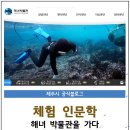 해녀