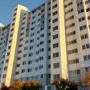 고봉로658번길 이미지