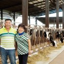 성실목장 이미지