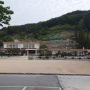 외포초교 뒤 이미지