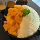 울산 삼산 신상카페 생망고빙수맛집 마스로스터리