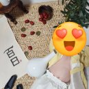 로다테이블 네이버블로그