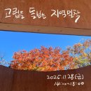 ＜고립을 돌보는 지역밀착＞_김승수 노수현 김세진_사회사업 잡담회 이미지