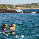법환어촌체험휴양마을 이미지