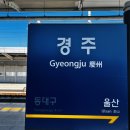 경북 경주 1박 2일 여행코스 불국사 석굴암 전촌용굴 동궁식물원 이제경주