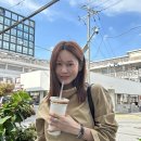 아이비파트너