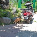 지산농장 이미지