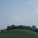 바우길 17구간 이미지