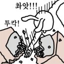 양지선어