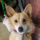 옥순봉로 이미지