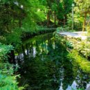 수원-0956 이미지