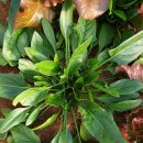 나들펜션 이미지