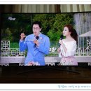 6시내고향