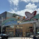 씨알목장 | [강원도 여름휴가]DAY 2-장칼국수, 울산바위, 속초중앙시장,속초해수욕장,알펜시아 리조트 앤 스위트