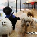 호텔가자인천공항 네이버블로그