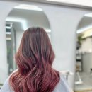 터미날미용실