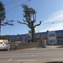 평천초등학교 이미지