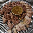 제주근고기 이미지
