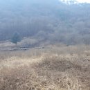 멋다리펜션 이미지