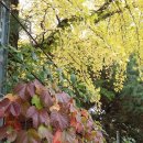 송내초등학교 이미지