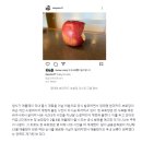 마침내 국내 상륙…애플·현대카드 “애플페이 한국 출시” 공식 발표 이미지