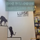 모래내동물병원 | 만수동 루이스동물병원 고양이예방접종 후기