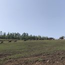 방대농장 이미지