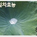 하로당
