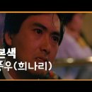 영웅본색의 적룡 리즈 시절 이미지