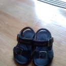 알로엔루 이미지