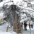 춘성할인마트 이미지