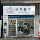 아이몽 | 대전 도안동 애견미용실 “아이몽펫” 말티푸 베이비컷 후기