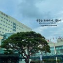 순천향대학교부속부천병원 이미지