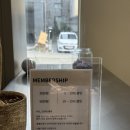 노프짐 | 운정 저손상 열펌으로 유명한 노프헤어에서 히피펌 후기 👩‍🦱