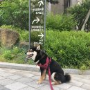 아로미 펜션 이미지