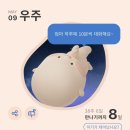 식풍경감자탕 | [26년 5월] 일상(5/4~5/10)