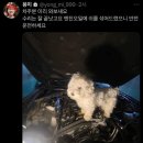 노아샵 이미지