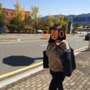 문경 배드민턴경기장 | 문경/세계군인체육대회/데일리