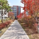 한숲시티2단지 이미지