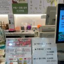 패럿 ( PARROT ) | [아이랑 부산 가볼만한 곳] 앵무새랑 눈 맞춤! 롯데백화점 광복점 ‘리프패럿’ 체험 후기