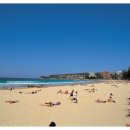 중앙식당민박 이미지