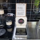 상사의숲 이미지