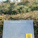 의령여씨 향제시도록 및 시조제단비 | [2025.02.24] 경남 의령 - 솥바위, 정암루, 의병광장, 의령관문, 의령관문공원, 정암철교, 일붕사, 서담...