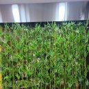 노래야노래야코인노래연습장 대구혁신점 이미지