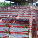 금호농협대창지점 이미지