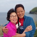 팽목횟집 | 제주도 여행 후기